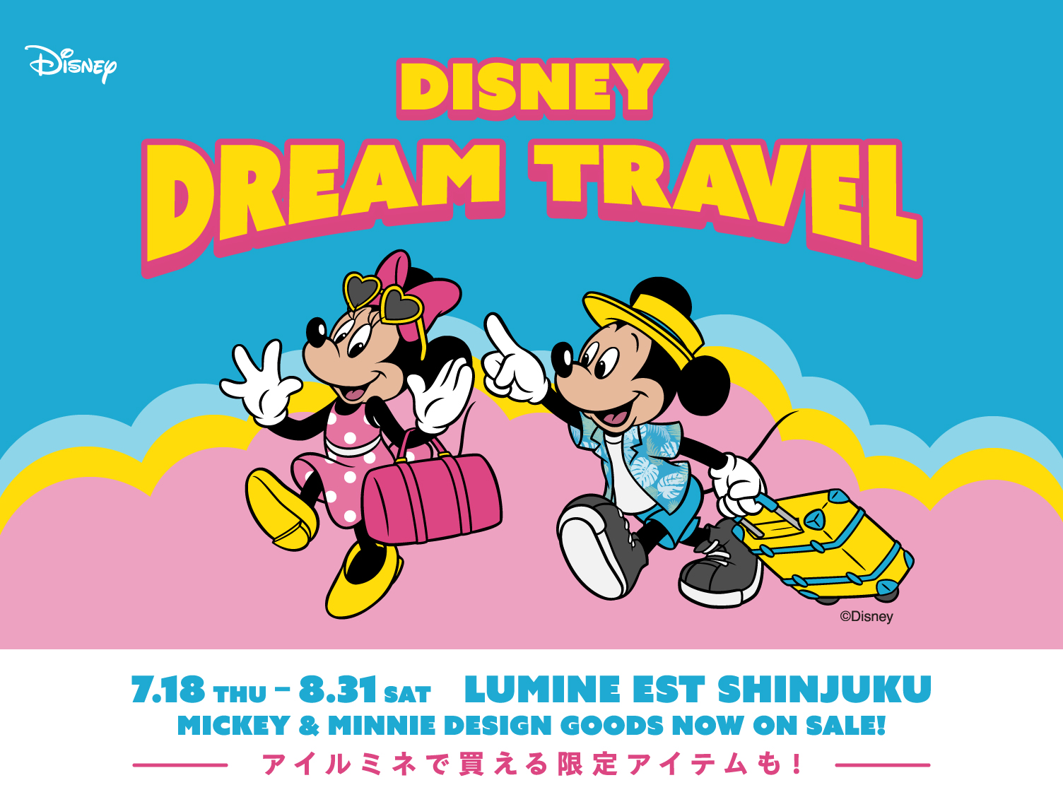 DISNEY DREAM TRAVEL