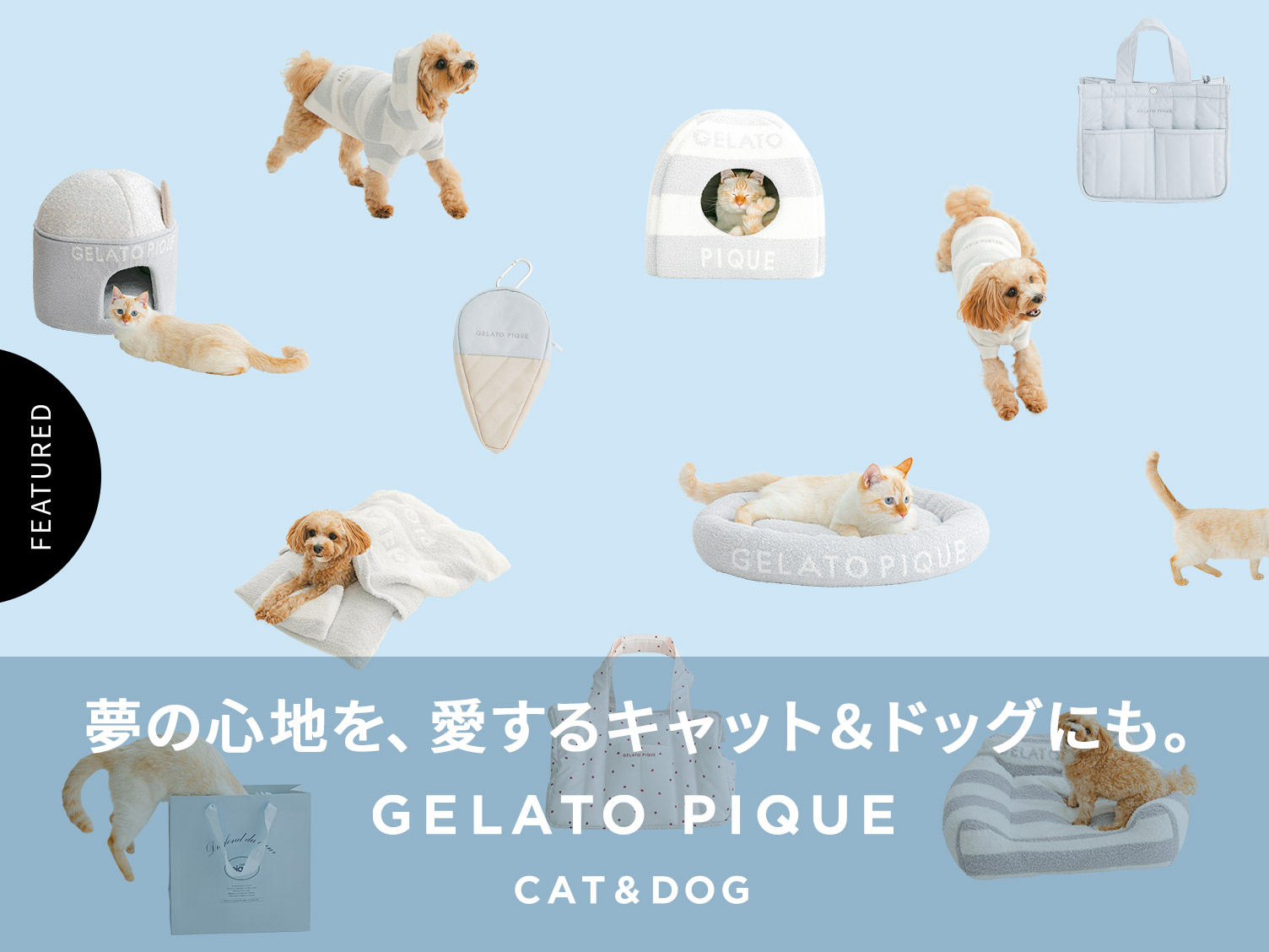 ペットグッズが新登場！GELATO PIQUE CAT&DOGシリーズ