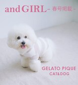 【and GIRL春号掲載】CAT&DOGアイテムをpick up！
