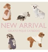 【GELATO PIQUE CAT&DOG】NEW！春の新作アイテムが登場