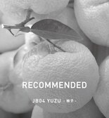RECOMMENDED 【YUZU】