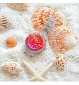 《ICE WATCH》夏に身に着けたいクリアウォッチ