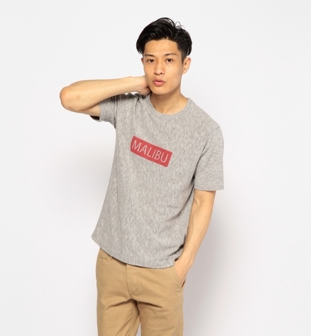 T/C SLUB/SPIN PT/XEFbg