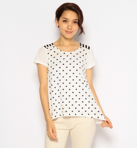 GC T/C DOT [NST POJbg\[