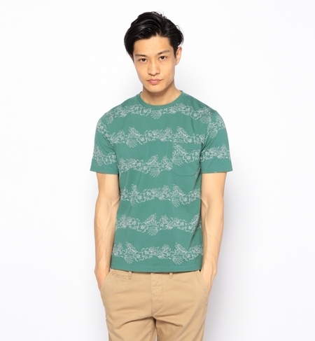 HIBISCUS JQ PKT C/N S/S TVc