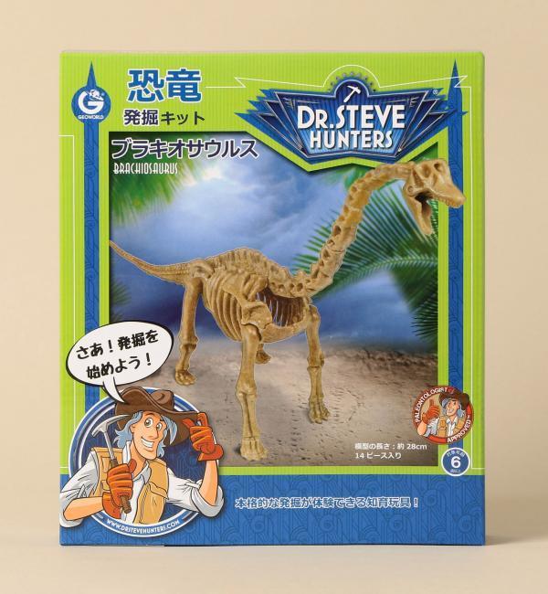 【グリーンレーベルリラクシング/green label relaxing】 GW キョウリュウ発掘キット ブラキオサウルス