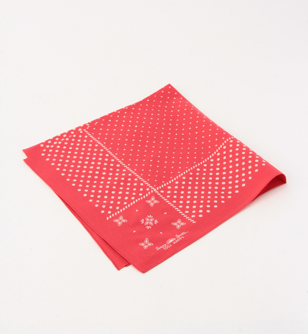 Sunny Sports×Ray BEAMS / 別注 バンダナ