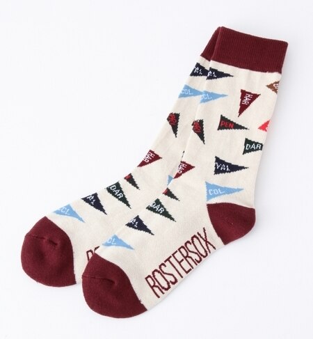 ROSTER SOCKS / ペナントソックス