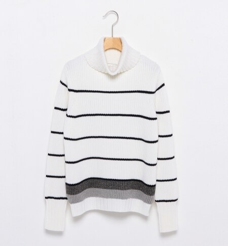 【ビームス ウィメン/BEAMS WOMEN】 THE IRON / ミックスボーダー タートルニット [送料無料]