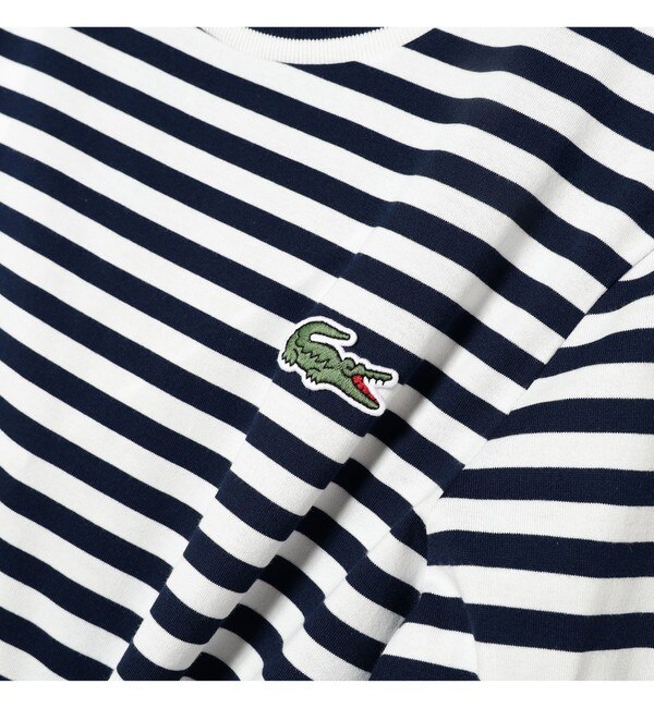 LACOSTE / ベーシックボーダー Tシャツ