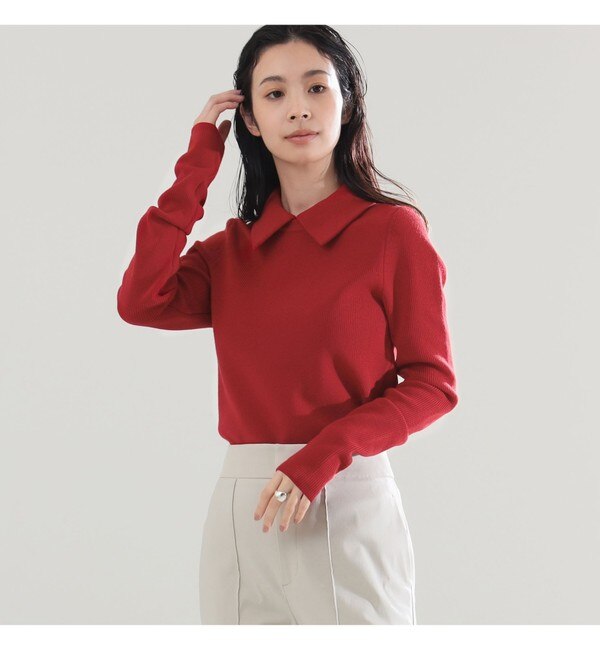 正式的 AK+1 / WOMEN(ビームス プルオーバー|BEAMS ニット 片畦 ポロ襟 トップス