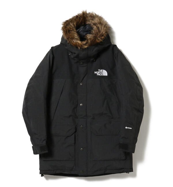 the north face mountain down coat