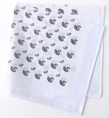 GRAZIINA: ビッグペイズリー/フレーム プリント チーフ