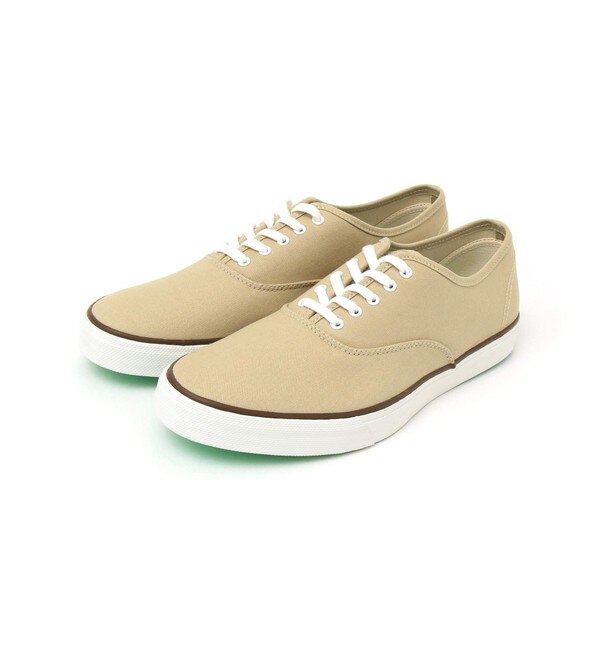 SHIPS any別注】KEDS: MAIN SAIL 1960s スニーカー◇|SHIPS(シップス