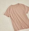 オーガニック コットン TEE 23SS ◇
