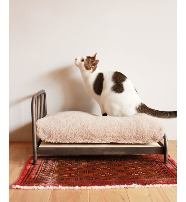 ＜アイルミネ＞【ジャーナル スタンダード ファニチャー/journal standard Furniture】 SENS BED for CAT画像
