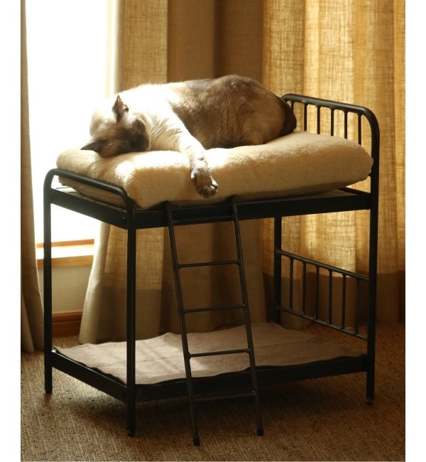 ＜アイルミネ＞【ジャーナル スタンダード ファニチャー/journal standard Furniture】 SENS BUNK BED for CAT サンクバンクベット画像
