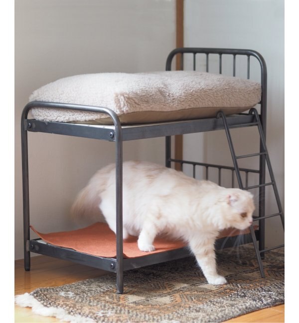 SENS BUNK BED for CAT サンクバンクベッド|journal standard