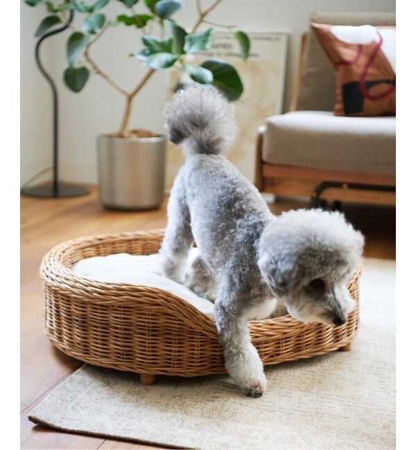 LITTLERS/リトラーズ】 WICKER PET BED SET M ペット ベッド|journal standard  Furniture(ジャーナル スタンダード ファニチャー)の通販｜アイルミネ