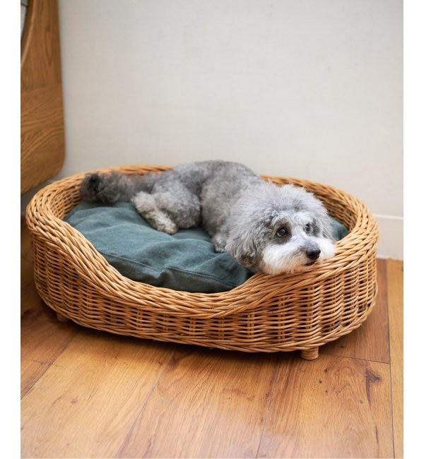 【ジャーナル　スタンダード　ファニチャー/journal standard Furniture】 【LITTLERS/リトラーズ】 WICKER PET BED SET M ペット ベッド