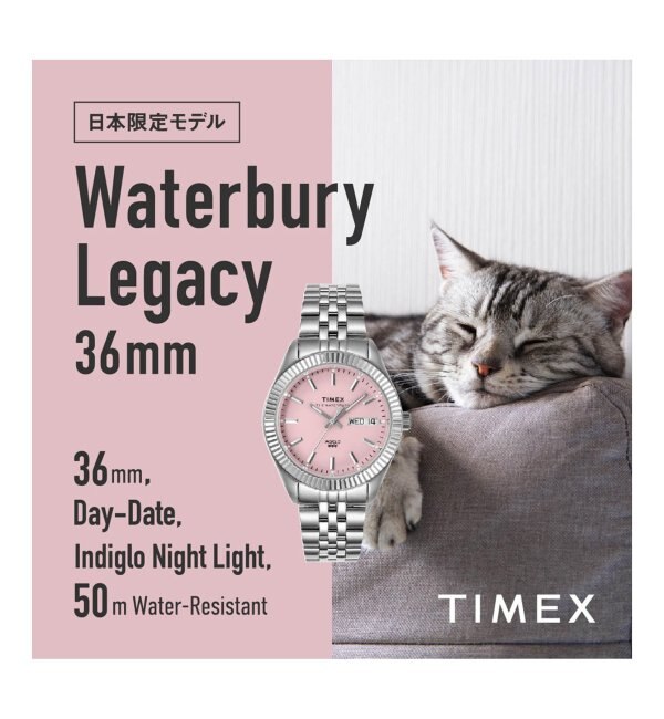 TIMEX/タイメックス】Waterbury Legacy 36mm ピンク【 ウォッチ