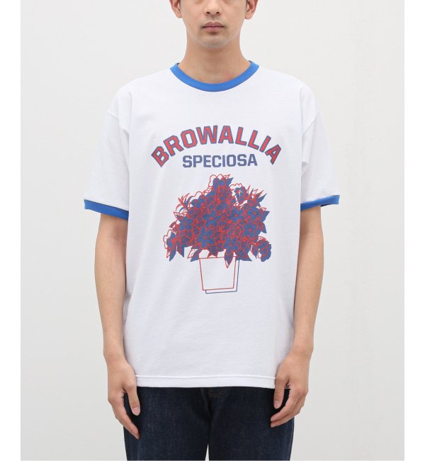 【Niche. /ニッチ】 ROYAL Ringer T-Shirts : BROWA