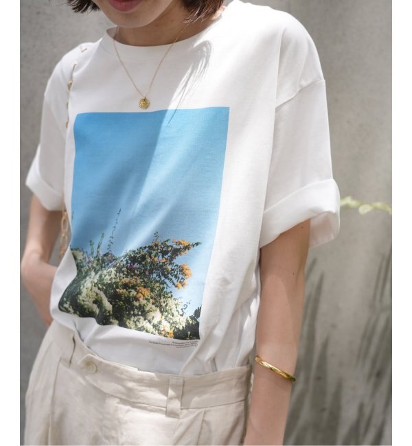 81BRANCA/ハチイチブランカ 】 PHOTO Tシャツ|IENA(イエナ)の通販