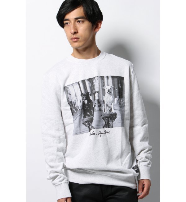 TEALER CHIEN SPHYNX SWEAT