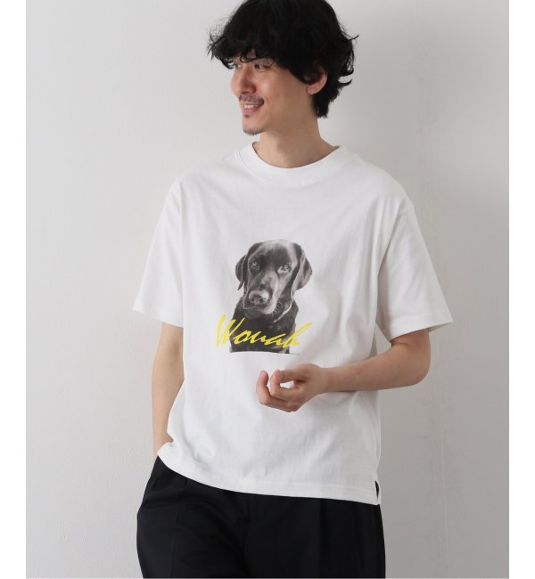 Labrador Retriever / ラブラドールリトリーバー】LABRADOR PHOTO Tシャツ - organicfarmermag.com