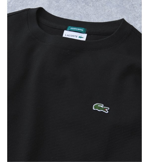 再入荷》【LACOSTE / ラコステ】別注 コットンリネンワッフルTシャツ