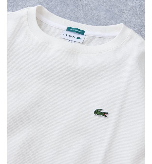 再入荷》【LACOSTE / ラコステ】別注 コットンリネンワッフルTシャツ