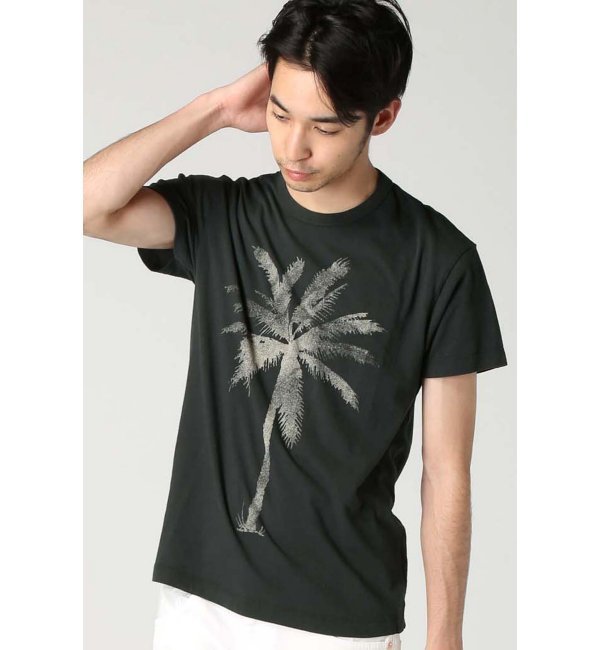 TAILGATE / テイルゲート: PALM TREE / Tシャツ