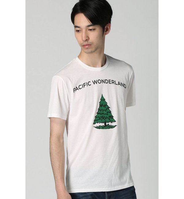 BRIDGE&BURN / ブリッジ&バーン: PACIFIC WONDERLAND Tシャツ