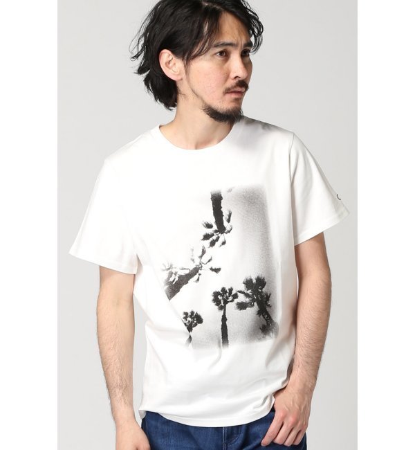【ジャーナルスタンダード/JOURNAL STANDARD】 Ocean Pacific×relume 別注 フォトＴシャツ(PALM) [送料無料]