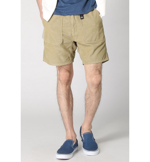 LEE / リー: CLIMBING PAINTER SHORTS / ショーツ