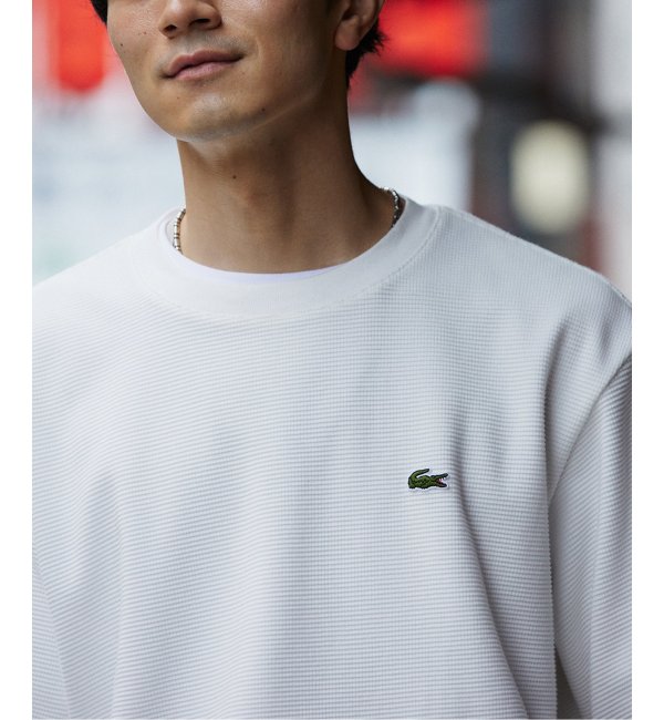 【LACOSTE / ラコステ】別注 ワッフルTシャツ