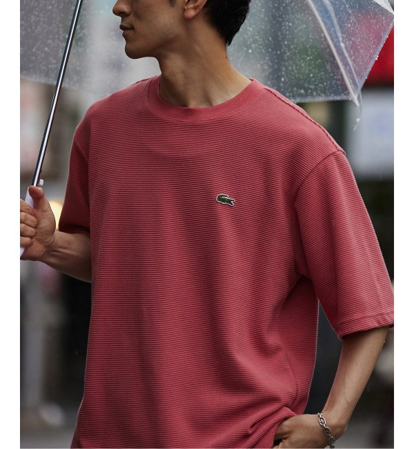 【LACOSTE / ラコステ】別注 ワッフルTシャツ