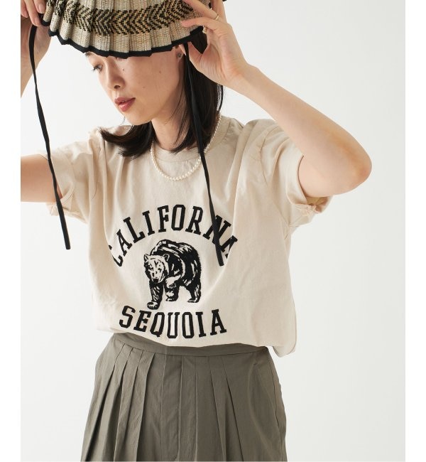 モテ系ファッションメンズ|【ジャーナルスタンダード/JOURNAL STANDARD】 《予約》《別注》【MIXTA/ミクスタ】CALIFORNIA SEQUOIA S/S T-SH：Tシャツ