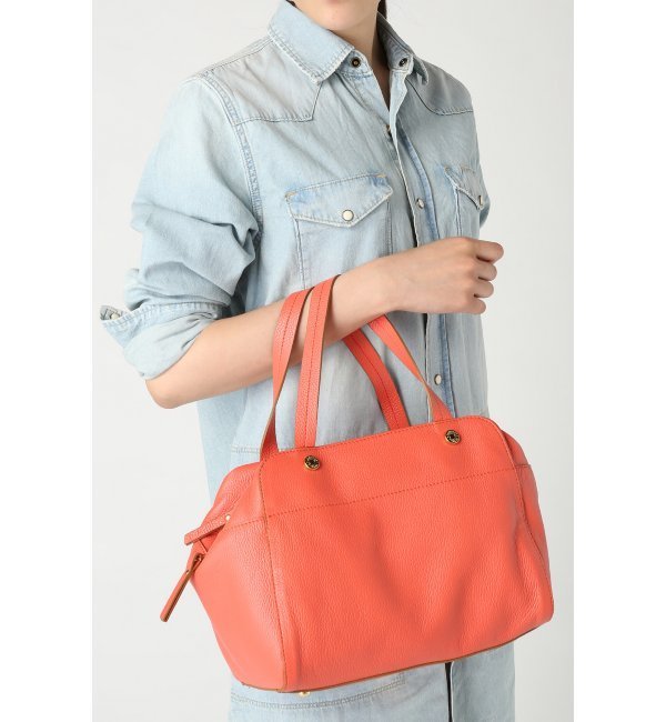 IACUCCI ミニボストン