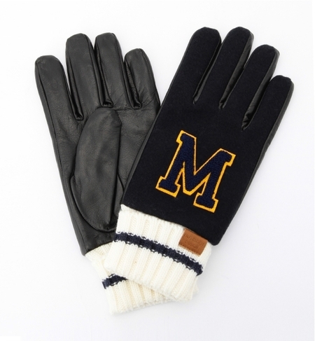 COLLEGE GLOVE