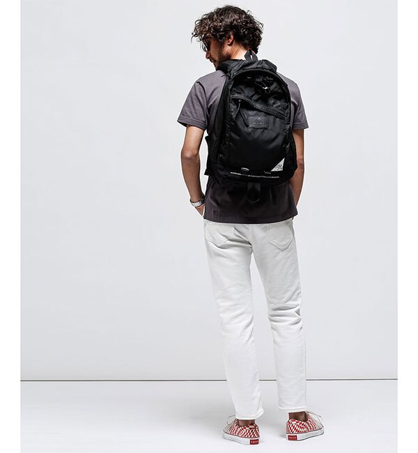 GREGORY/別注DAY PACK