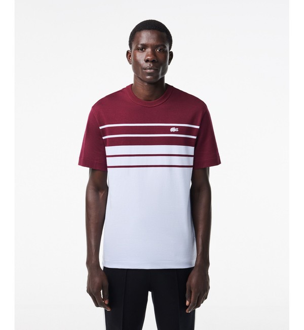 フランスメイドパネルボーダー鹿の子地Tシャツ|LACOSTE(ラコステ)の ...