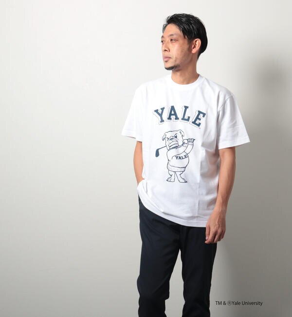 WEB限定】YALE / UCLA カレッジ プリント ビッグシルエット Tシャツ|NOLLEY'S(ノーリーズ)の通販｜アイルミネ