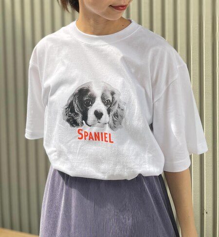 新柄追加 Dog Cat 犬猫プリントtシャツ Fredy Gloster フレディアンドグロスター の通販 アイルミネ