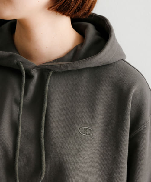 Champion terry sale hoodie