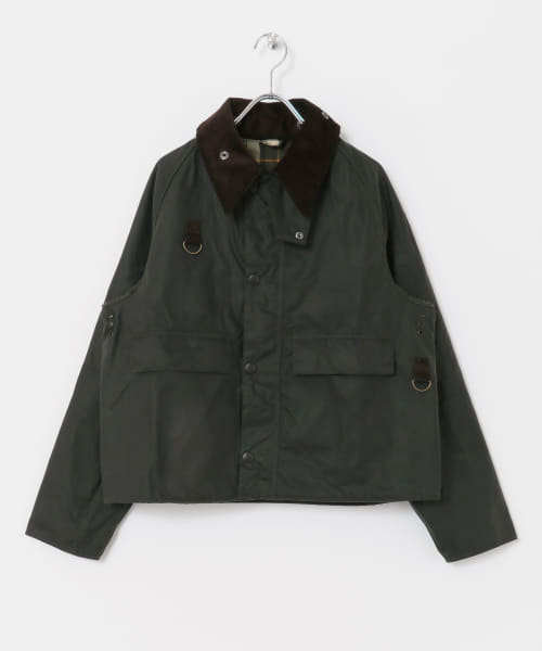 ピッコリーナバブアーBarbour○バブアー＜ビッグサイズ・コットン