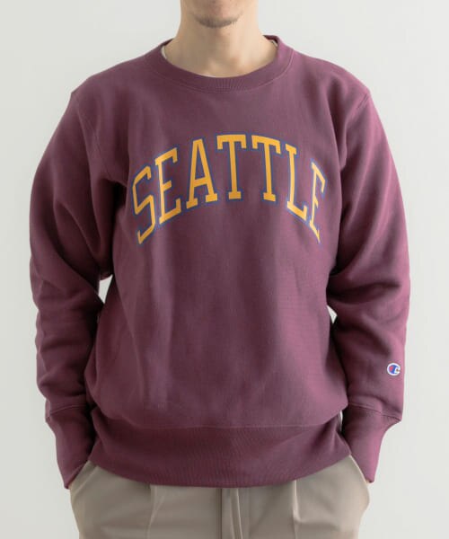 Champion hot sale university crewneck