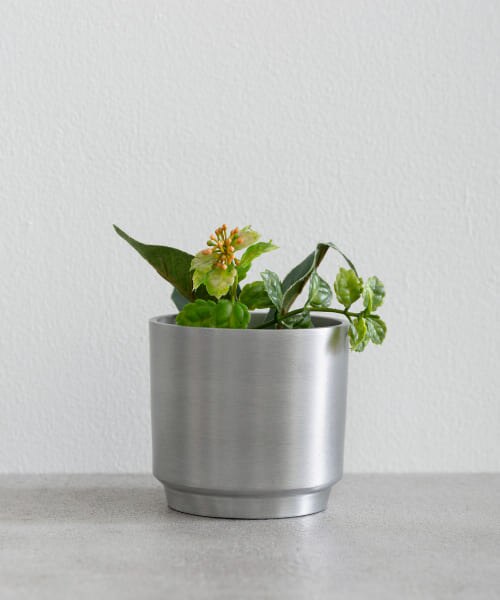 SENSE OF PLACE BLOMSTER SOILD POT|SENSE OF PLACE by URBAN RESEARCH