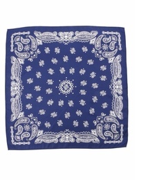 【アースミュージックアンドエコロジー/earth music＆ecology】 バンダナ柄プチスカーフ [3000円(税込)以上で送料無料]