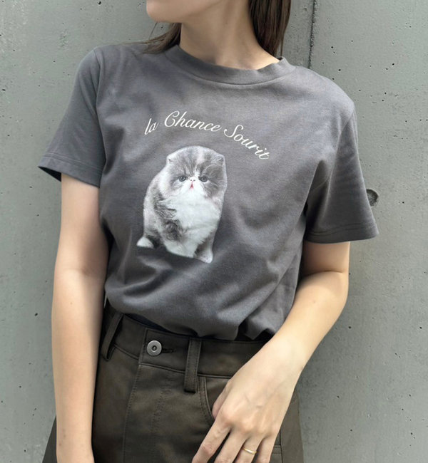 アソートプリントTシャツ